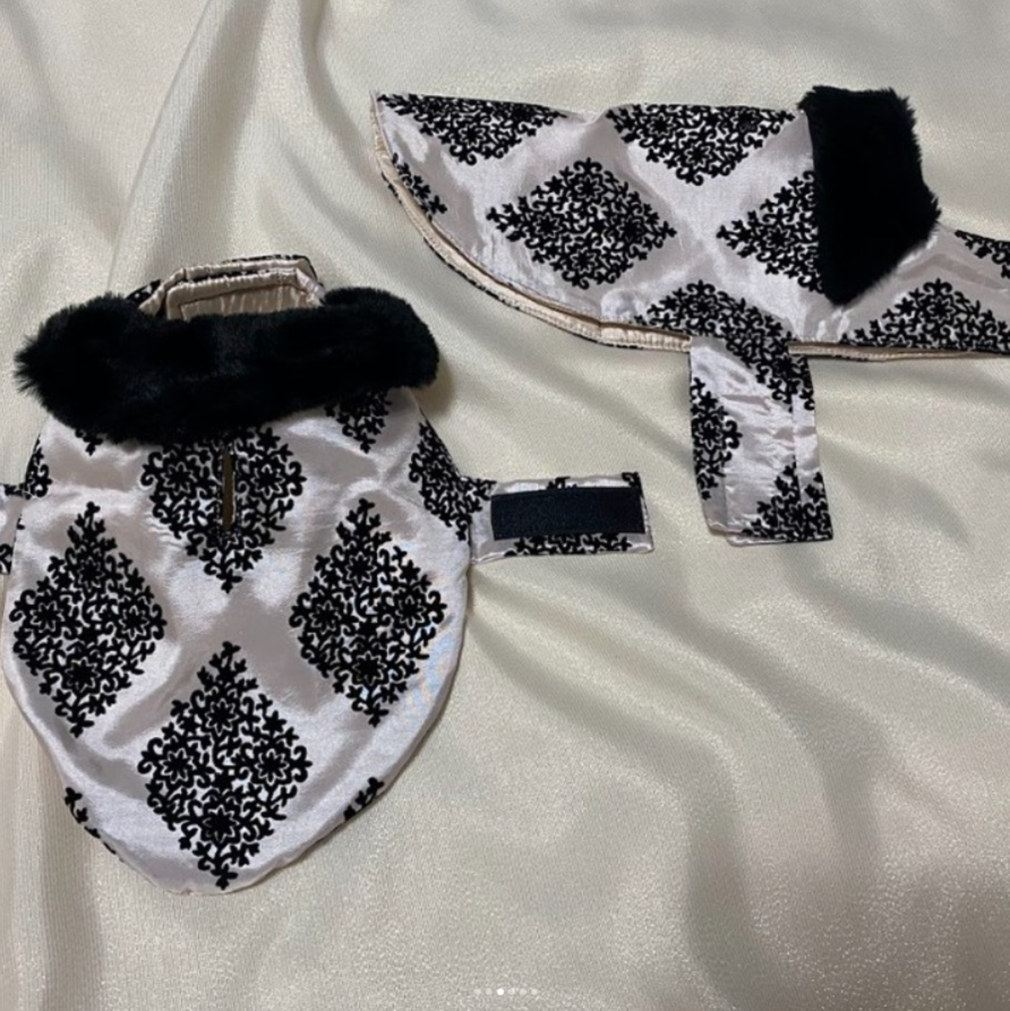 Evening Elegance Formal Dog Coat
