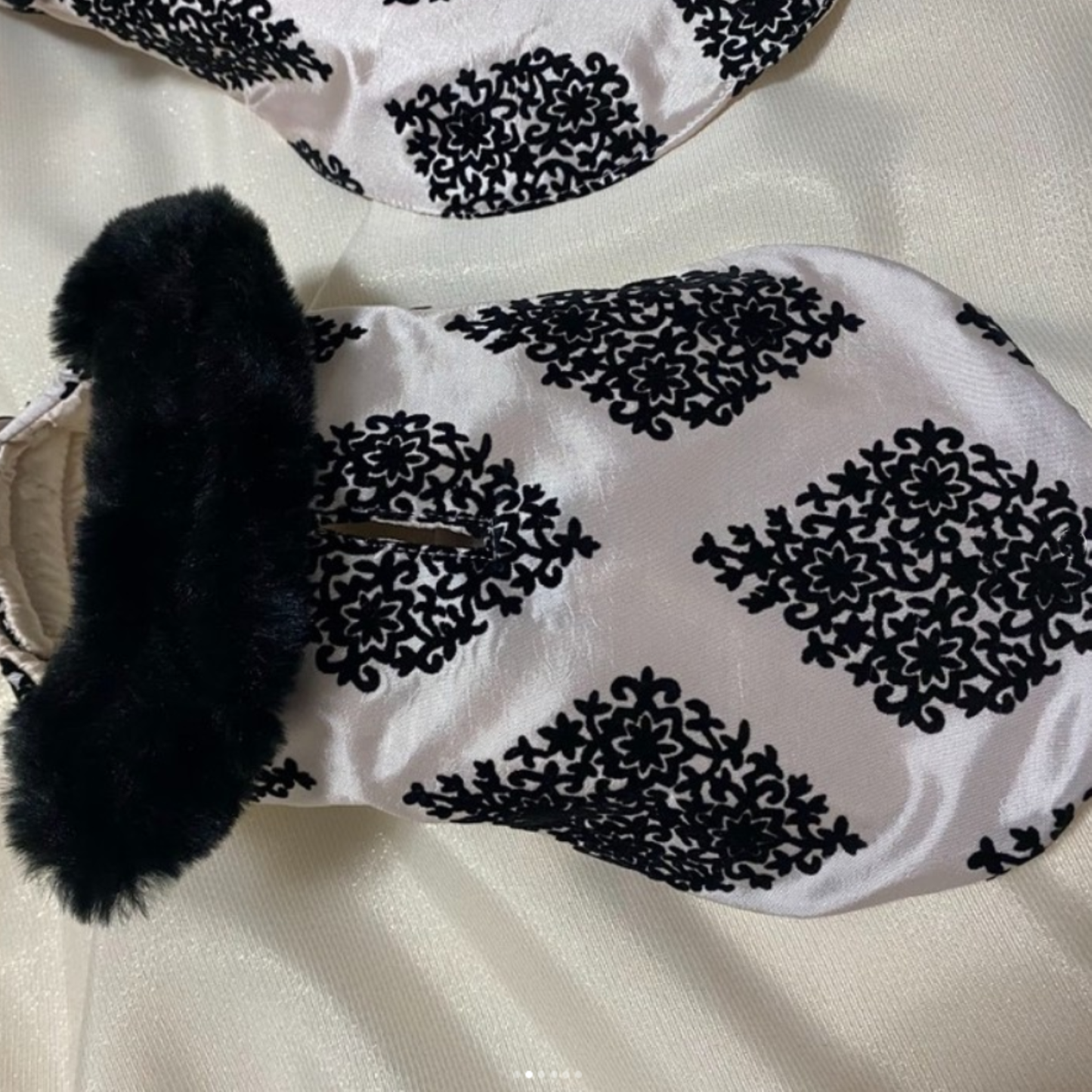 Evening Elegance Formal Dog Coat